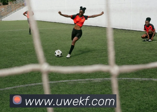 App Interface Preview