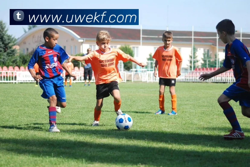 数据防护可视化